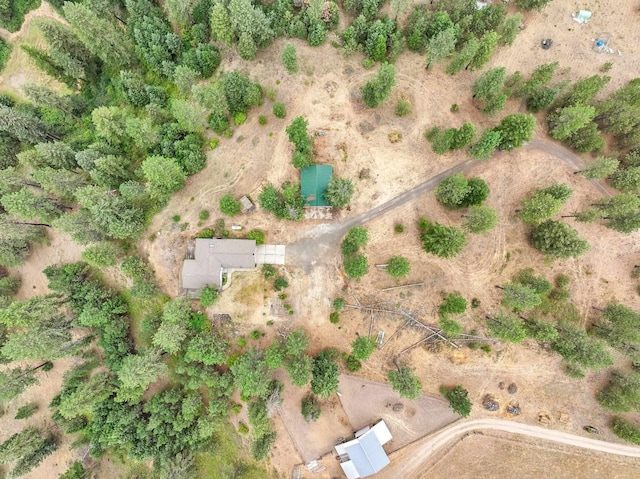 30807 N Dollar Ln, Chattaroy, WA 99003 - photo 42