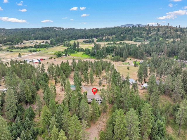 30807 N Dollar Ln, Chattaroy, WA 99003 - photo 44