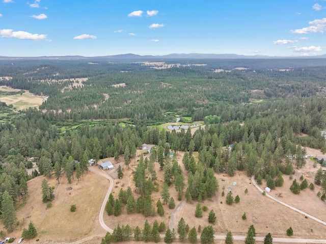 30807 N Dollar Ln, Chattaroy, WA 99003 - photo 45