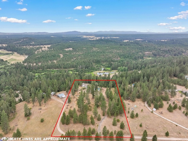 30807 N Dollar Ln, Chattaroy, WA 99003 - photo 46