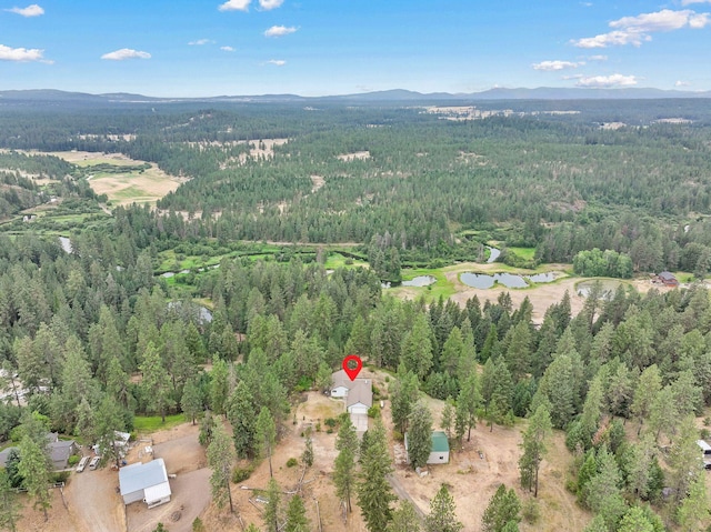 30807 N Dollar Ln, Chattaroy, WA 99003 - photo 48
