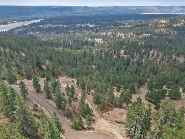 NKA Weaver Way Lot 1Of Lot 3, Deer Park, WA 99006 - photo 1