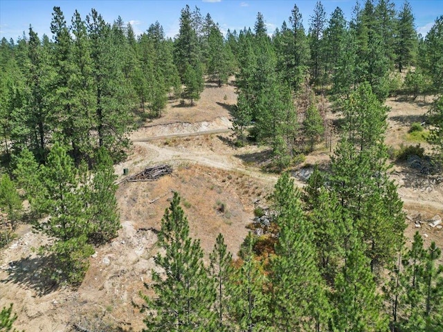 NKA Weaver Way Lot 1Of Lot 3, Deer Park, WA 99006 - photo 11
