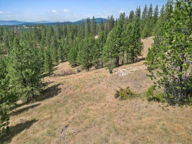 NKA Weaver Way Lot 1Of Lot 3, Deer Park, WA 99006 - photo 12