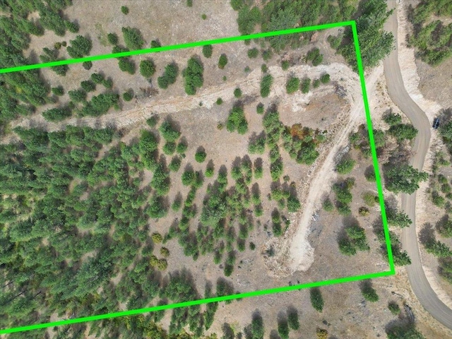 NKA Weaver Way Lot 1Of Lot 3, Deer Park, WA 99006 - photo 3