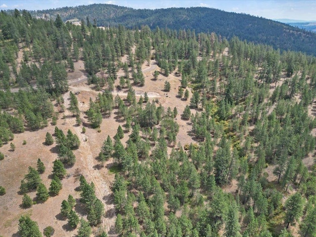 NKA Weaver Way Lot 1Of Lot 3, Deer Park, WA 99006 - photo 5