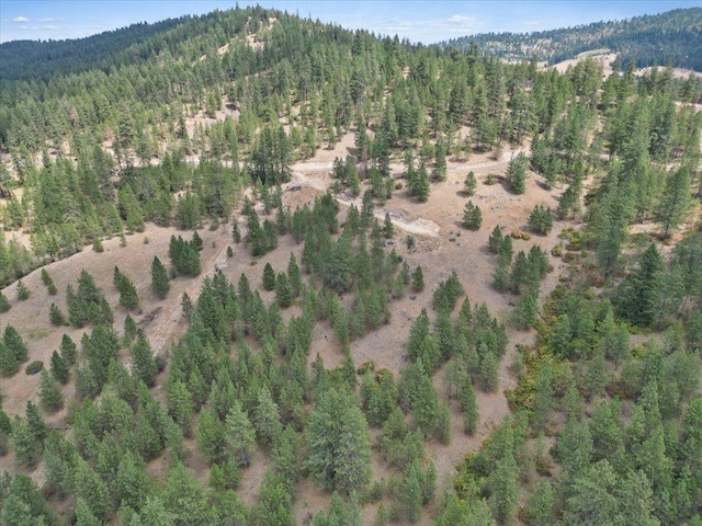 NKA Weaver Way Lot 1Of Lot 3, Deer Park, WA 99006 - photo 6