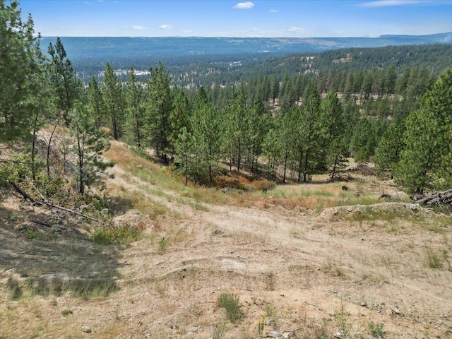 NKA Weaver Way Lot 1Of Lot 3, Deer Park, WA 99006 - photo 7
