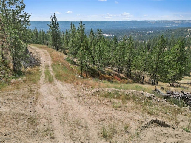 NKA Weaver Way Lot 1Of Lot 3, Deer Park, WA 99006 - photo 8