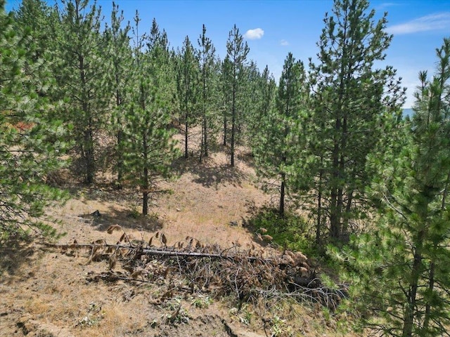 NKA Weaver Way Lot 1Of Lot 3, Deer Park, WA 99006 - photo 9