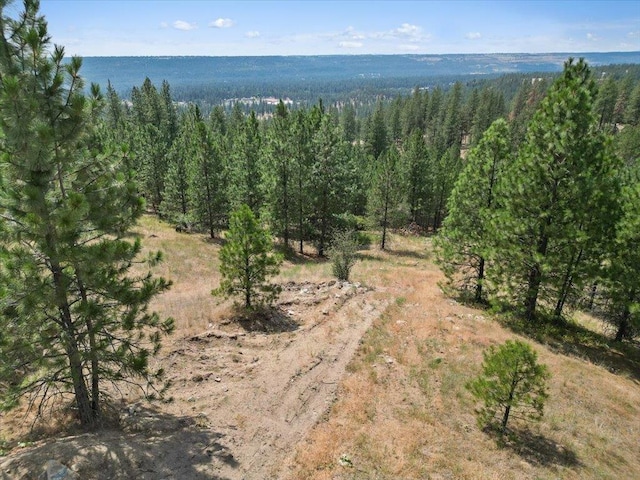 NKA Weaver Way Lot 1Of Lot 3, Deer Park, WA 99006 - photo 10