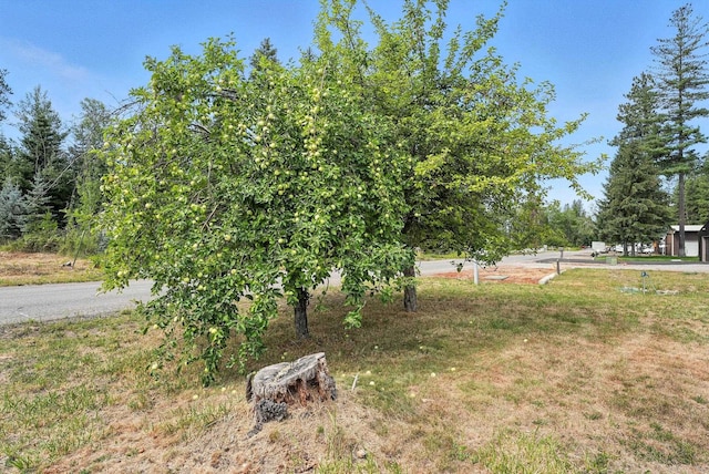 612 Levitch Rd, Newport, WA 99156 - photo 28
