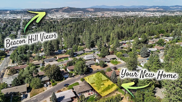 3628 E 16th Ave, Spokane, WA 99223 - photo 30