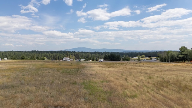 2122 W Staley Rd, Deer Park, WA 99006 - photo 11