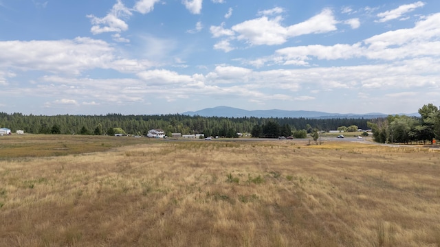 2122 W Staley Rd, Deer Park, WA 99006 - photo 12