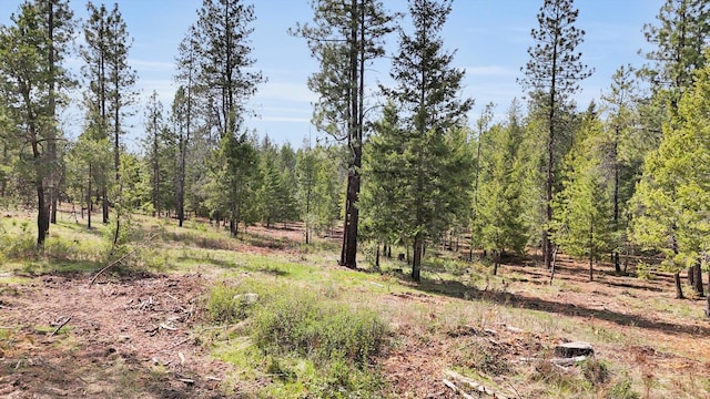 69XX E Elk Bluff Ln, Elk, WA 99009 - photo 1