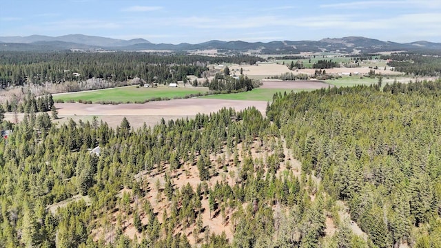 69XX E Elk Bluff Ln, Elk, WA 99009 - photo 10