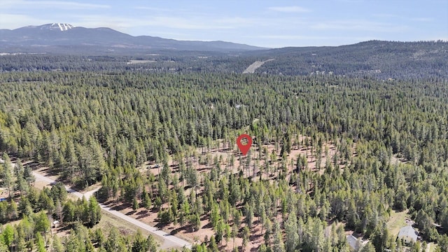 69XX E Elk Bluff Ln, Elk, WA 99009 - photo 11