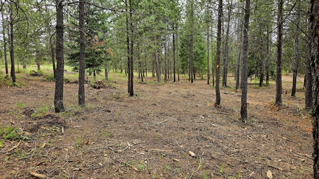 69XX E Elk Bluff Ln, Elk, WA 99009 - photo 12