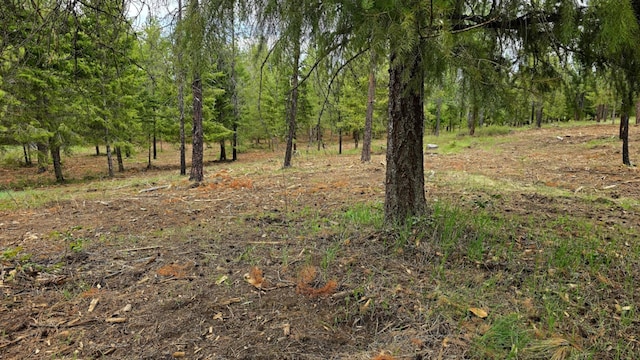 69XX E Elk Bluff Ln, Elk, WA 99009 - photo 13