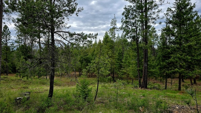 69XX E Elk Bluff Ln, Elk, WA 99009 - photo 14
