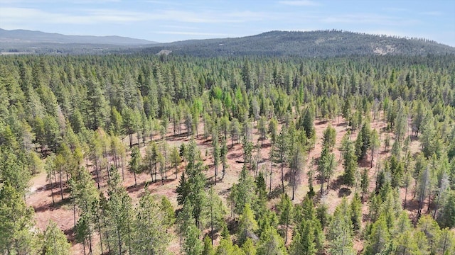 69XX E Elk Bluff Ln, Elk, WA 99009 - photo 15