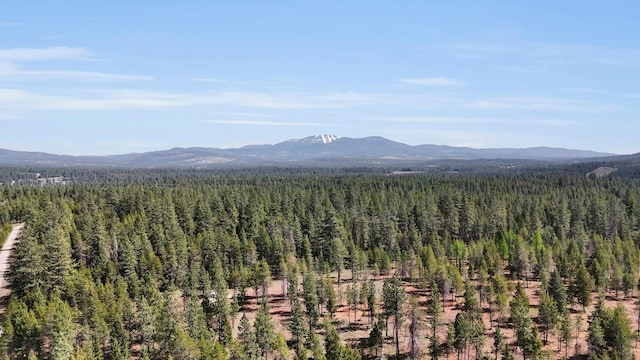 69XX E Elk Bluff Ln, Elk, WA 99009 - photo 16