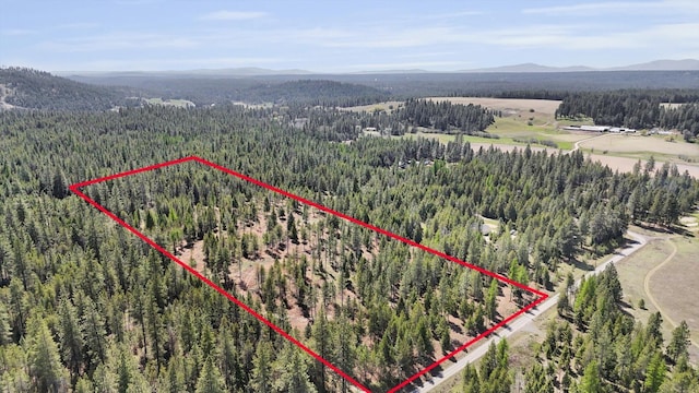 69XX E Elk Bluff Ln, Elk, WA 99009 - photo 3