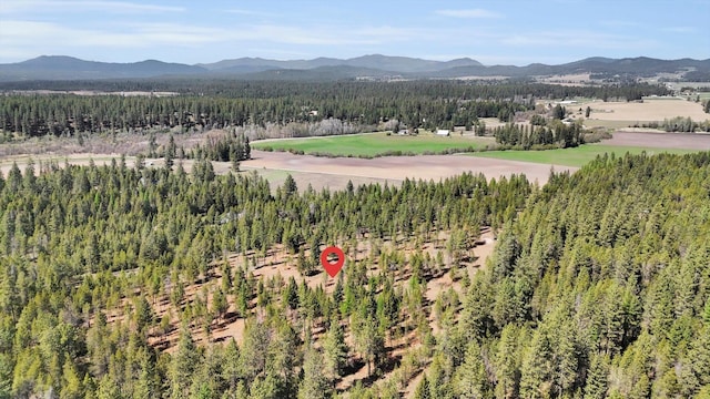 69XX E Elk Bluff Ln, Elk, WA 99009 - photo 4