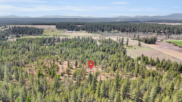 69XX E Elk Bluff Ln, Elk, WA 99009 - photo 5