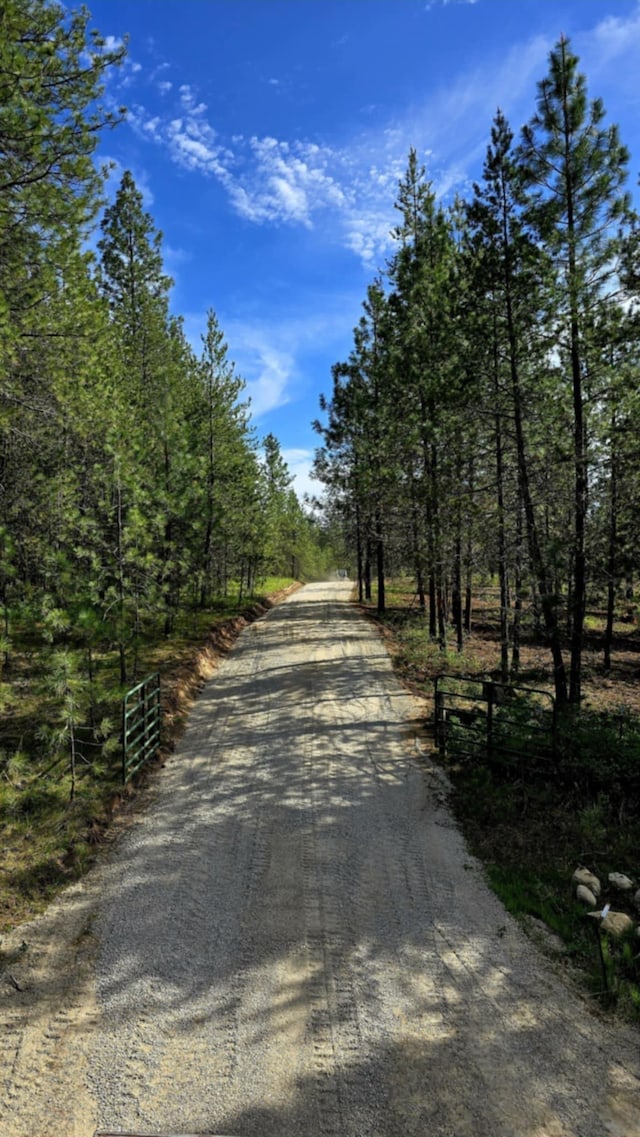 69XX E Elk Bluff Ln, Elk, WA 99009 - photo 6