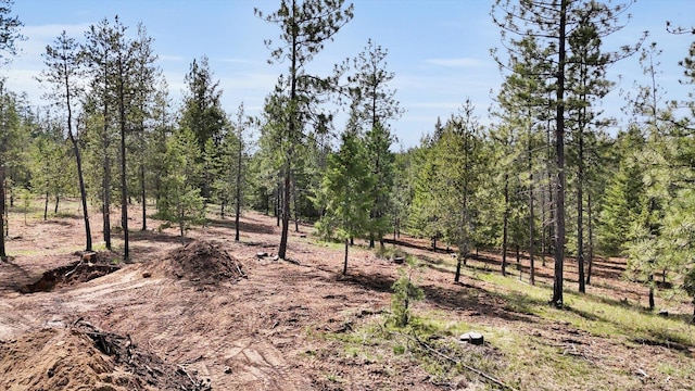 69XX E Elk Bluff Ln, Elk, WA 99009 - photo 7