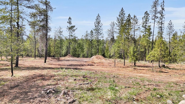 69XX E Elk Bluff Ln, Elk, WA 99009 - photo 8