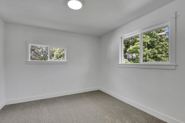 17316 E Montgomery Dr, Greenacres, WA 99016 - photo 16