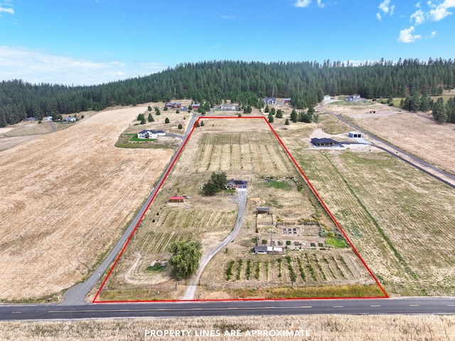 6817 E Big Meadows Rd, Chattaroy, WA 99003 - photo 2