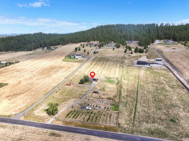 6817 E Big Meadows Rd, Chattaroy, WA 99003 - photo 27