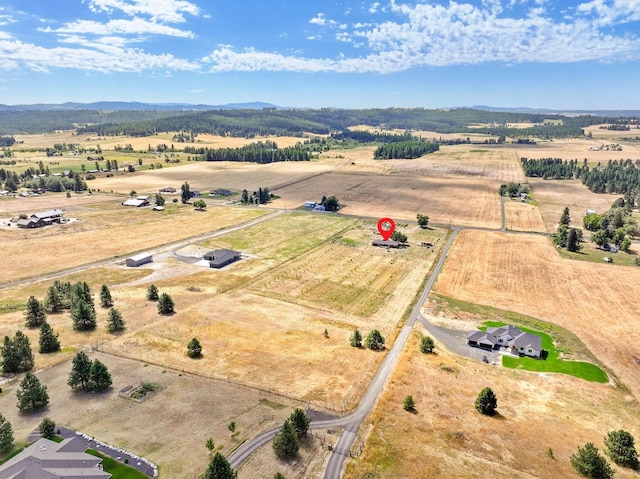 6817 E Big Meadows Rd, Chattaroy, WA 99003 - photo 28