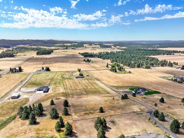 6817 E Big Meadows Rd, Chattaroy, WA 99003 - photo 29