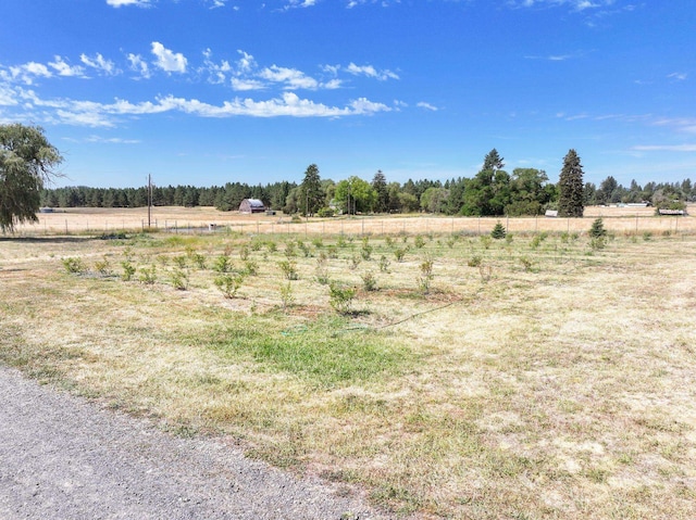 6817 E Big Meadows Rd, Chattaroy, WA 99003 - photo 31