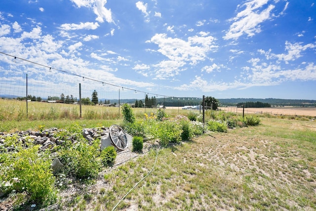 6817 E Big Meadows Rd, Chattaroy, WA 99003 - photo 32