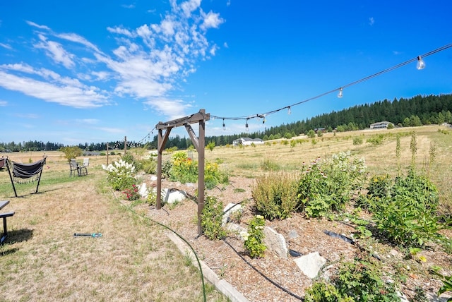6817 E Big Meadows Rd, Chattaroy, WA 99003 - photo 33