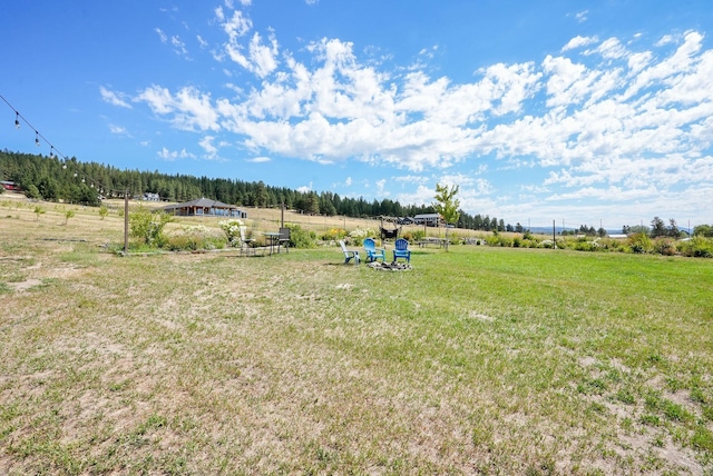 6817 E Big Meadows Rd, Chattaroy, WA 99003 - photo 38