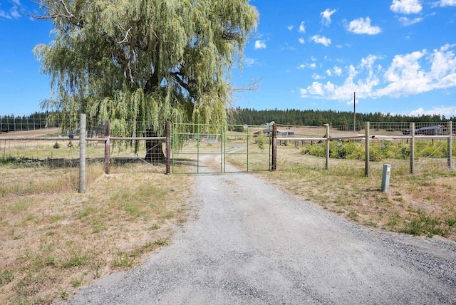 6817 E Big Meadows Rd, Chattaroy, WA 99003 - photo 41