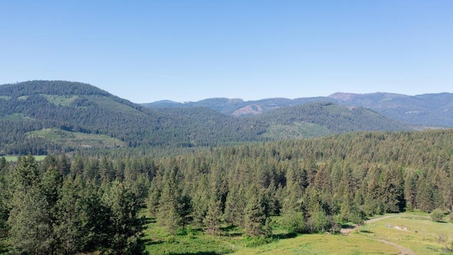 360 Barnaby Creek Rd, Inchelium, WA 99138 - photo 17