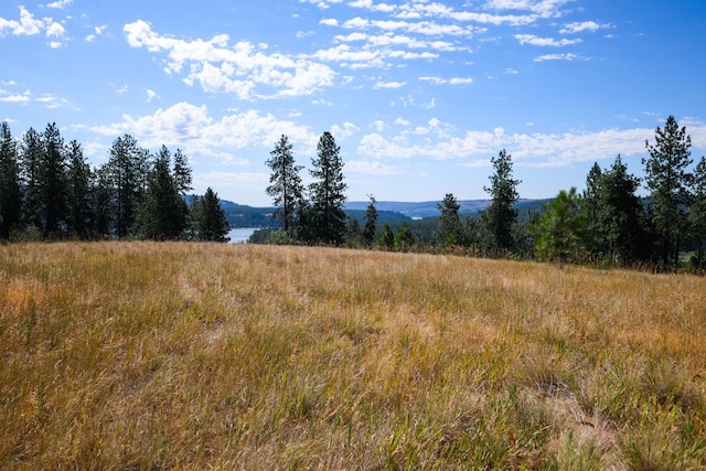 5677 Riverview Ln, Deer Park, WA 99006 - photo 11