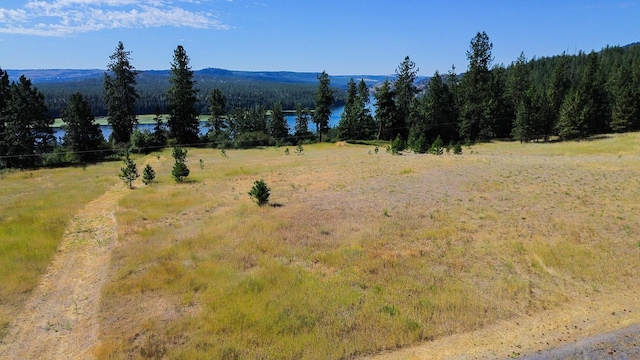 5677 Riverview Ln, Deer Park, WA 99006 - photo 15