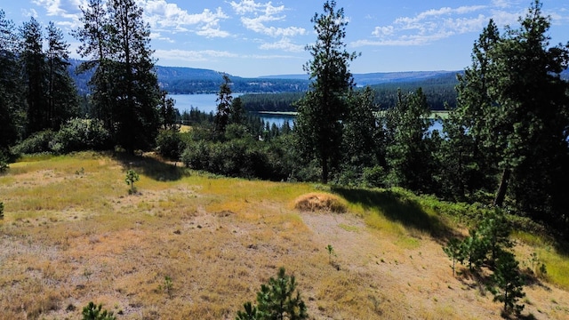 5677 Riverview Ln, Deer Park, WA 99006 - photo 17