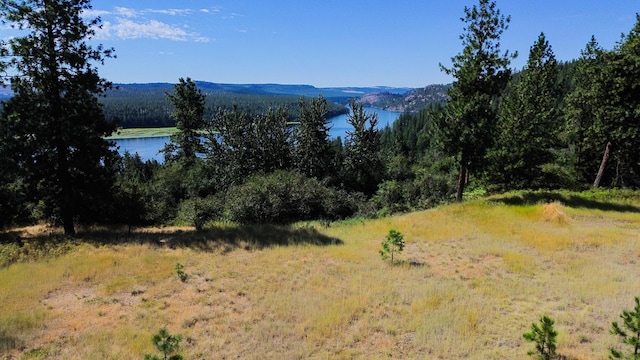 5677 Riverview Ln, Deer Park, WA 99006 - photo 18