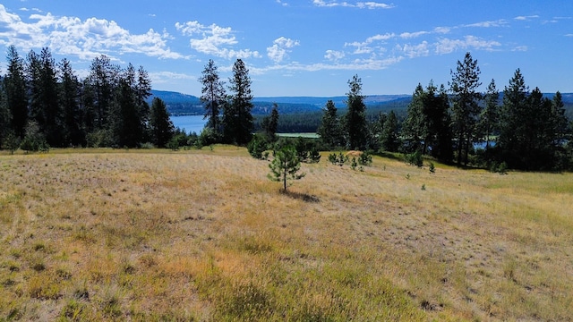 5677 Riverview Ln, Deer Park, WA 99006 - photo 20