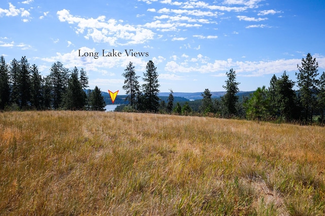 5677 Riverview Ln, Deer Park, WA 99006 - photo 8